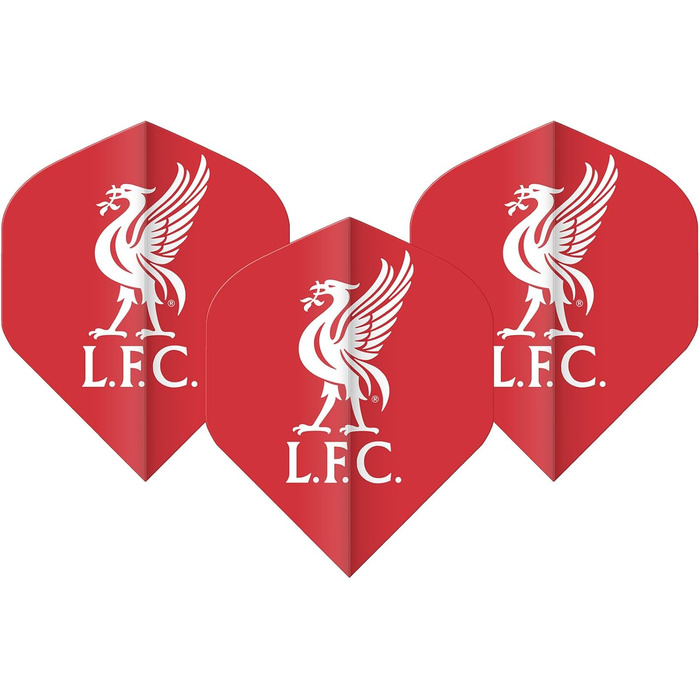 Професійні дротики (дартс) FOCO Liverpool Red Dragon 24г з вольфрамом 80% та металевими наконечниками + аксесуари