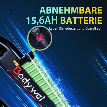 Електровелосипед Bodywel A26/A275 26/27,5 дюймів для жінок і чоловіків, LED-дисплей 4,5”, APP-керування, мотор 250W Ananda, знімна батарея 36V 15,6Ah, запас ходу до 100 км