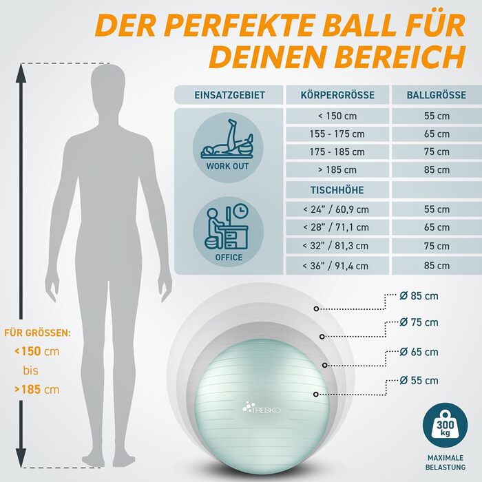 Гімнастичний м'яч TRESKO BPA-Free з насосом, 65 см, для фітнесу, йоги, пілатесу, вагітних, антивибуховий, до 300 кг