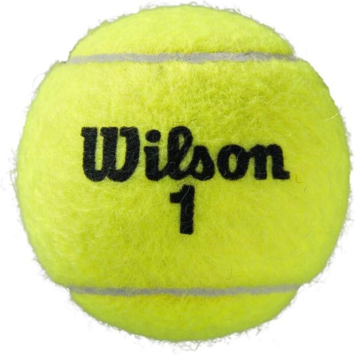 Тенісні м'ячі Wilson Roland Garros All Court, жовті, 3 шт, універсальні, для дорослих, у пачці 4 упаковки