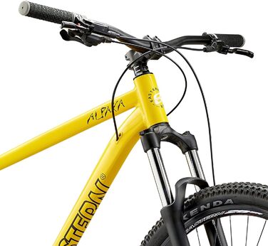 Гірський велосипед Eastern Bikes Alpaka 29