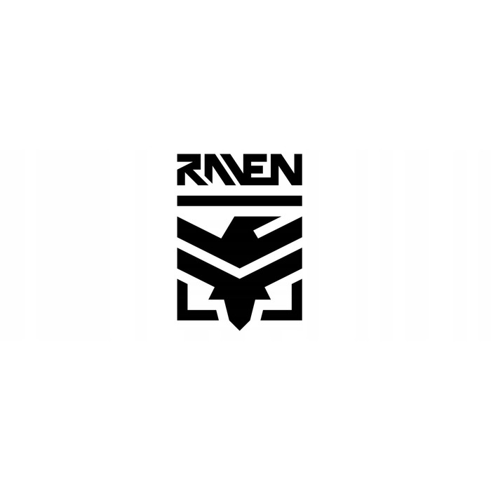 Регульовані ролики RAVEN Pulse PRO Black FitGo, розмір 43-46