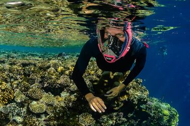 Маска для снорклінгу OCEAN REEF Aria QR з трубкою - повна маска, рожевий колір (S/M)