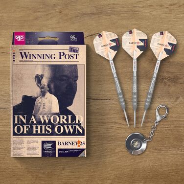 Дротики Target Raymond Van Barneveld RVB 25th Edition 95% вольфраму з металевим вістрям, набір для дартсу