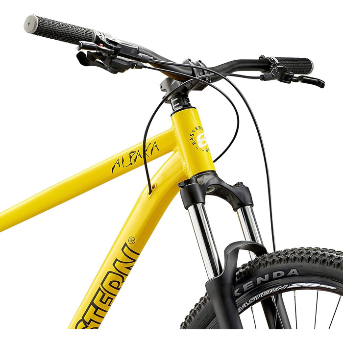 Гірський велосипед Eastern Bikes Alpaka 29