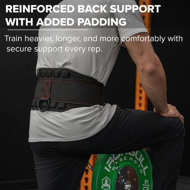 Пояс для підтягувань Advanced Dip Belt V2 - важкий, з посиленою спиною, ланцюгом та нейлоновим ременем. 3-точкові анкерні D-кільця для підтягувань, віджимань, присідань та іншого. Розмір L