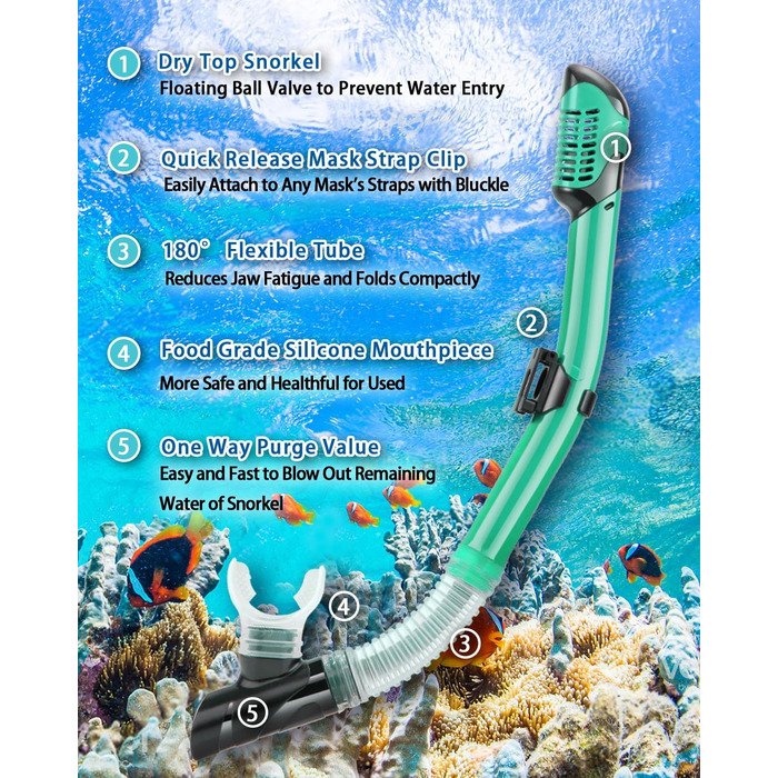 Набір для снорклінгу: маска, ласти, трубка Dry Top, великий/дуже великий, блакитний/прозорий