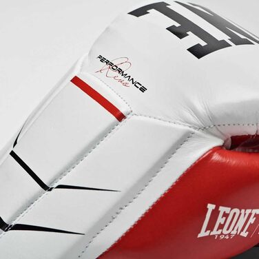 Боксерські рукавички Leone GN110F, шкіра, для тренувань