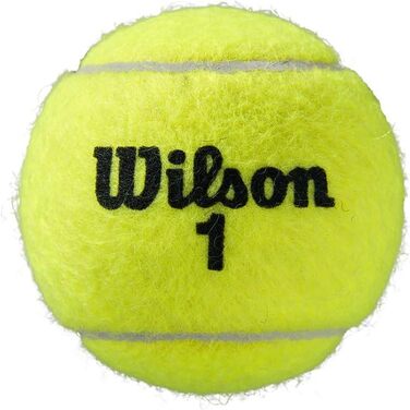 Тенісні м'ячі Wilson Roland Garros All Court, жовті, 3 шт, універсальні, для дорослих, у пачці 4 упаковки