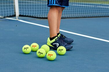 Тенісні м'ячі Penn Championship з фетру для регулярної гри