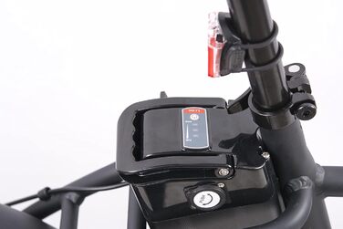 Електровелосипед F.lli Schiano E-Boss 20