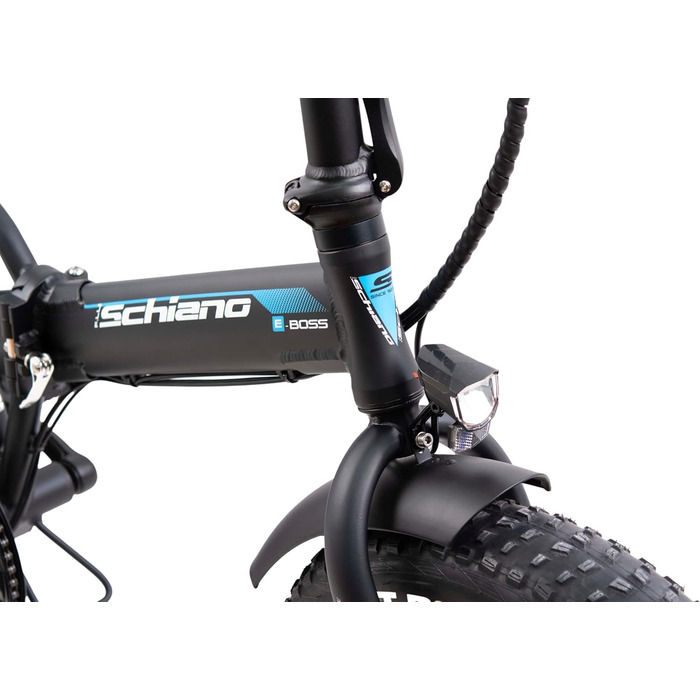Електровелосипед F.lli Schiano E-Boss 20