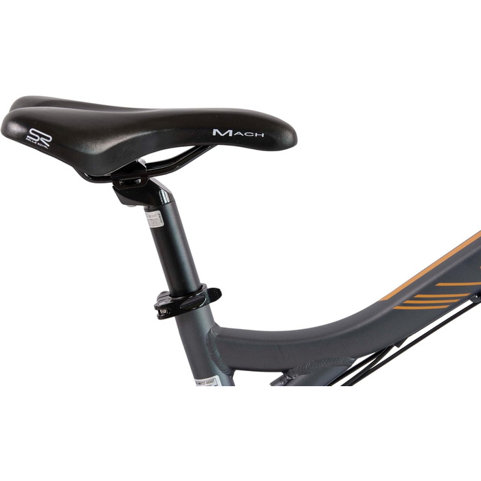 Електровелосипед F.lli Schiano Braver 27.5'' MTB, 36В 11.6Аг, 250Вт, знімний акумулятор, для чоловіків та жінок, сірий