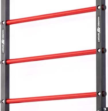 Шведська стінка Marbo Sport для монтажу на стіну, 230x81 см, MH-U204, вироблено в ЄС
