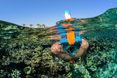 Маска для снорклінгу OCEAN REEF Aria QR з трубкою - повна маска для підводного плавання, 180° огляд (Medium/Large, блакитна)
