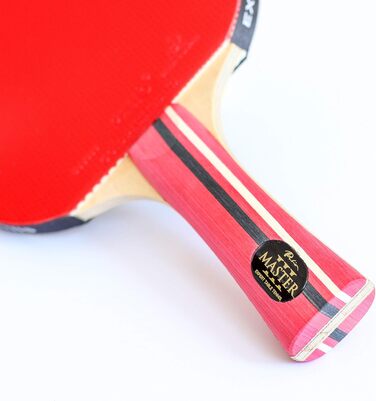 Ракетка для настільного тенісу Palio Master 3.0 з кейсом | ITTF, для просунутих гравців | Універсальна швидкість, обертання та контроль