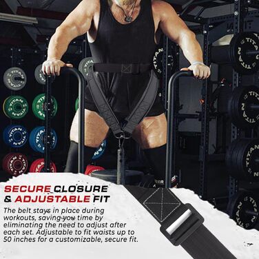 Пояс для присідань TAVIEW з кріпленням до стелажа, для важкої атлетики та пауерліфтингу – підтримка спини, низький профіль, м'яка підкладка на стегнах та колінах, надійна застібка, міцний, зелений (сірий)