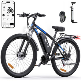 Електровелосипед ONESPORT DUOTTS C29 для дорослих, гірський e-bike з знімним акумулятором 48V 15Ah, мотор 250W, 21 швидкість, LCD-дисплей, для чоловіків і жінок