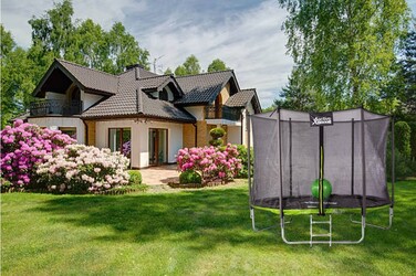 Батут із сіткою Active Hobby 312 см FT 10 (304-312 см)