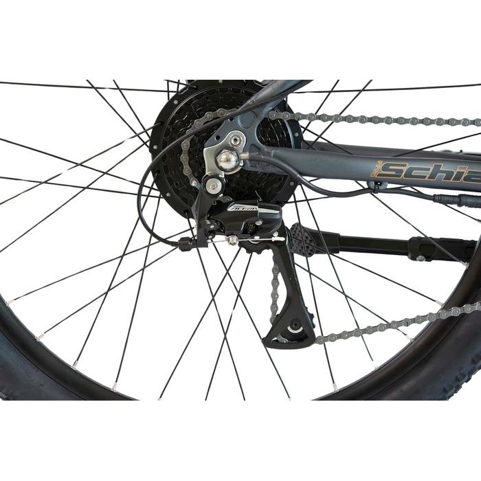 Електровелосипед F.lli Schiano Braver 27.5'' MTB, 36В 11.6Аг, 250Вт, знімний акумулятор, для чоловіків та жінок, сірий