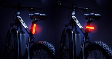 Фариса LED акумуляторний задній ліхтар для велосипеда, велосипедна підсвітка, акумуляторний, IPX4, чорний, з гальмоіндикатором