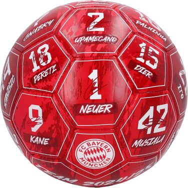 Футбольний м'яч FC Bayern München Signature 2024-25, розмір 5, червоний
