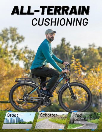 Електровелосипед ONESPORT DUOTTS C29 для дорослих, гірський e-bike з знімним акумулятором 48V 15Ah, мотор 250W, 21 швидкість, LCD-дисплей, для чоловіків і жінок