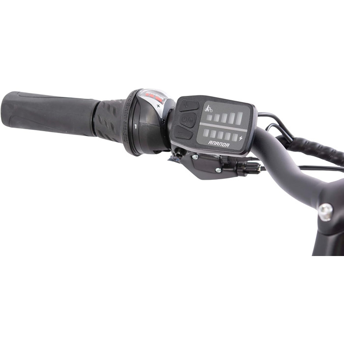 Електровелосипед F.lli Schiano E-Ride 28