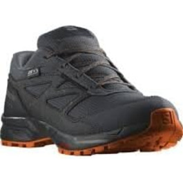 колір: ебеншварт