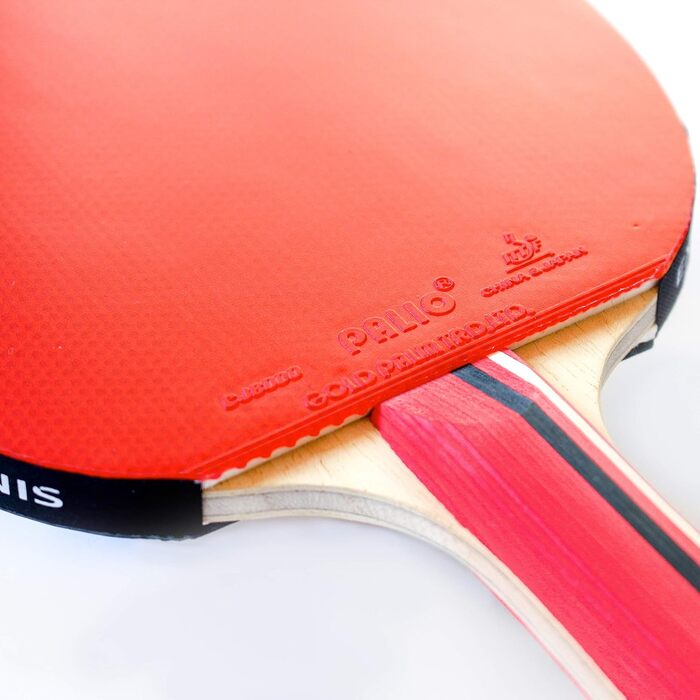 Ракетка для настільного тенісу Palio Master 3.0 з кейсом | ITTF, для просунутих гравців | Універсальна швидкість, обертання та контроль