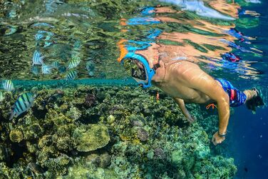 Маска для снорклінгу OCEAN REEF Aria QR з трубкою - повна маска для підводного плавання, 180° огляд (Medium/Large, блакитна)
