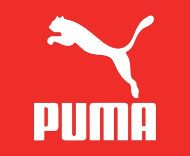 Чоловічі спортивні кросівки Puma 390987, розмір 40