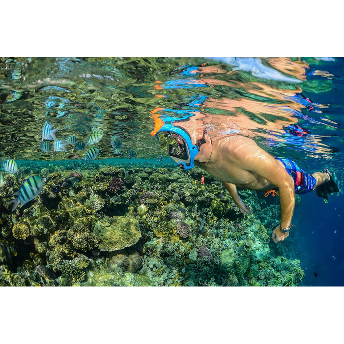 Маска для снорклінгу OCEAN REEF Aria QR з трубкою - повна маска для підводного плавання, 180° огляд (Medium/Large, блакитна)