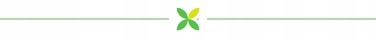Складаний масажний стіл Habys, дерево, коричневий