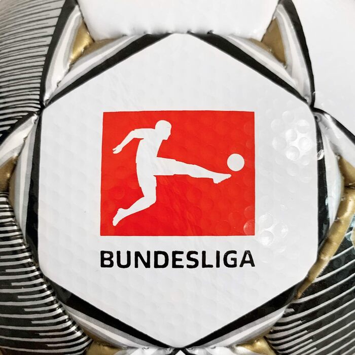 Футбольний м'яч Derbystar Bundesliga APS 2019/2020, розмір 5, біло-сірий-золотий