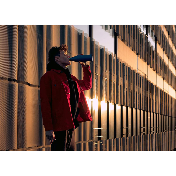 Термос пляшка SIGG Meridian з нержавіючої сталі 0,5/0,7 л, ізольована, герметична, BPA-free, бамбукова кришка