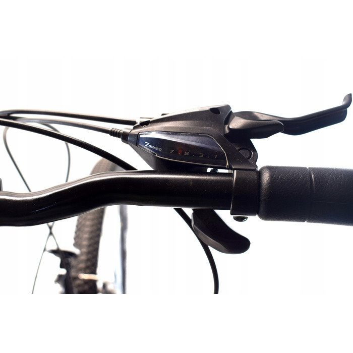 Гірський велосипед Rower MTB Dallas, 29 дюймів, рама 21