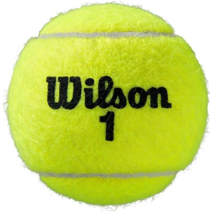 Тенісні м'ячі Wilson Roland Garros All Court жовті, 8 шт, для дорослих, універсальні