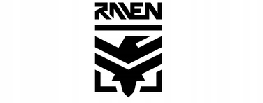Регульовані ролики RAVEN Pulse PRO Black FitGo, розмір 43-46