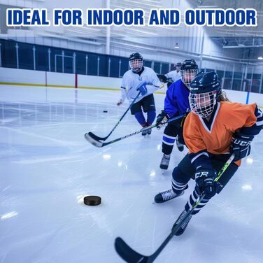 Керлінг-шайби Zealor Schwarz 30