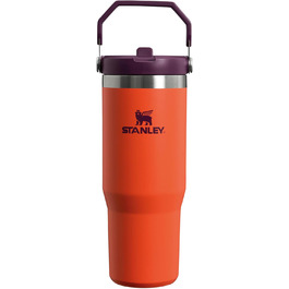 Термокружка Stanley Flip Straw 0,89 л з трубочкою Tigerlily Plum – спортивна термос пляшка для води, зберігає холод 12+ годин, BPA Free, підходить для посудомийки