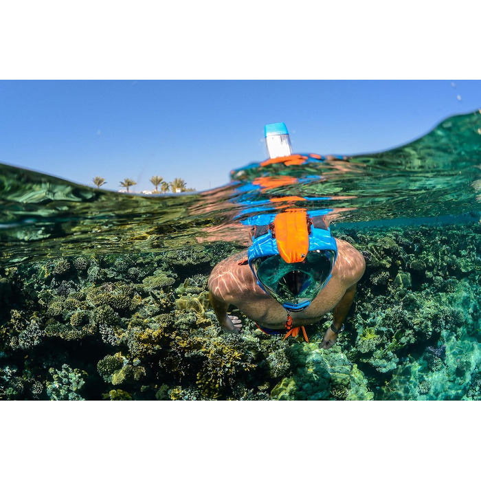 Маска для снорклінгу OCEAN REEF Aria QR з трубкою - повна маска для підводного плавання, 180° огляд (Medium/Large, блакитна)