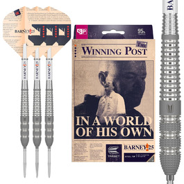 Дротики Target Raymond Van Barneveld RVB 25th Edition 95% вольфраму з металевим вістрям, набір для дартсу