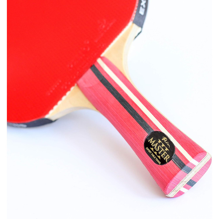 Ракетка для настільного тенісу Palio Master 3.0 з кейсом | ITTF, для просунутих гравців | Універсальна швидкість, обертання та контроль
