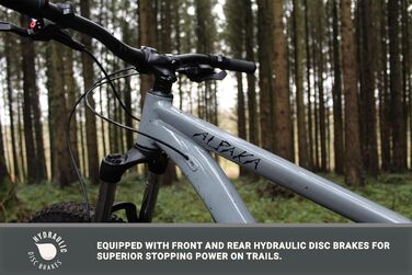 Гірський велосипед Eastern Bikes Alpaka 29