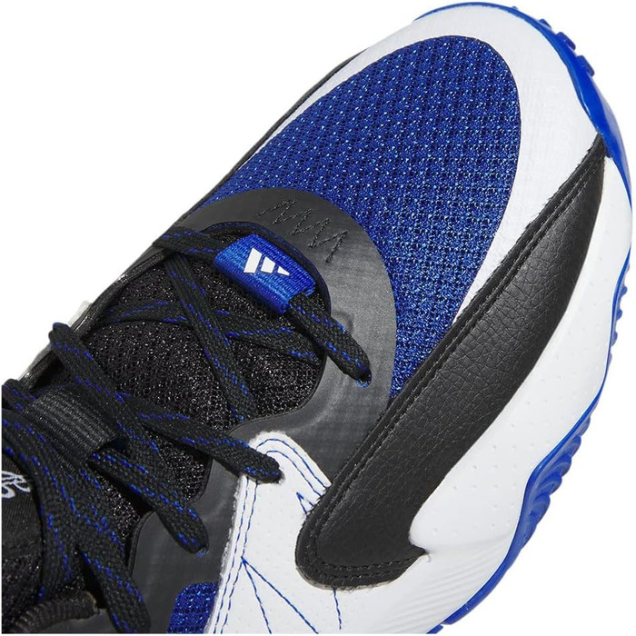 Кросівки баскетбольні Adidas Extply 2.0 (42 EU, Royal Blue Cloud White Core Black)