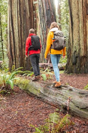 Гідраторний рюкзак CamelBak Rim Runner 22, 2.5 л, для походів, вугілля/графіт