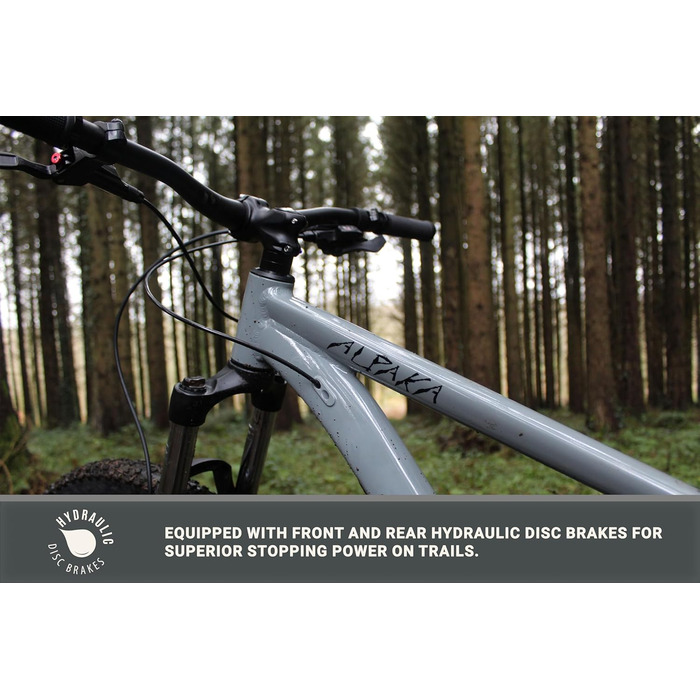 Гірський велосипед Eastern Bikes Alpaka 29