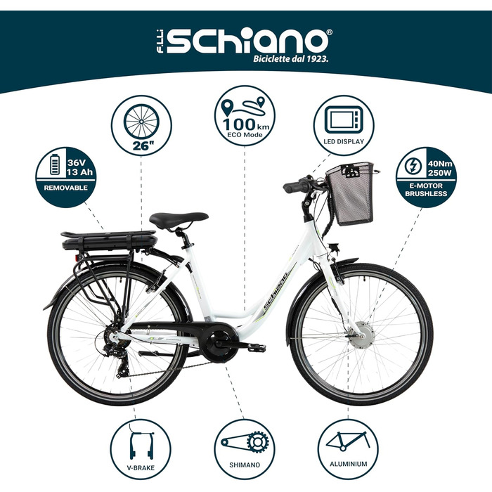 Електровелосипед F.lli Schiano E-Moon 26