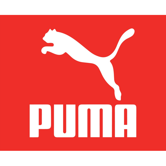Чоловічі спортивні кросівки Puma 390987, розмір 40
